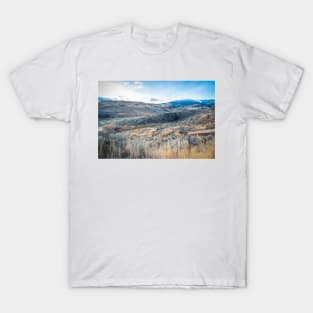 Osoyoos Desert Winter Landscape T-Shirt